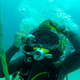 Illustration for article titled How to Become an Aquanaut